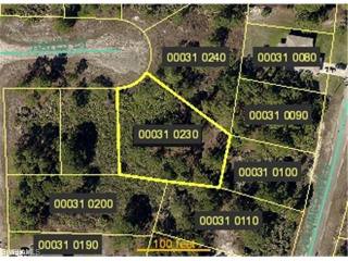 Land For Sale: Lehigh Acres, Florida