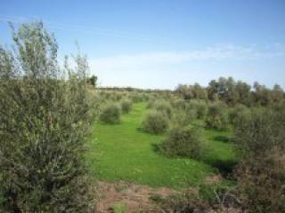 Plot For Sale In Crete