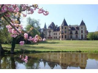 14 bedroom Castle For Sale: 03290..