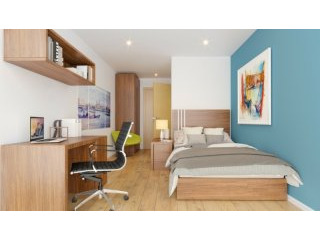Student Apartment Cluster Opportunity..