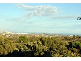 El Soto Luxury Penthouse_MPC295