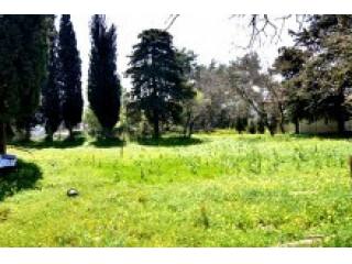 Land For Sale In Crete
