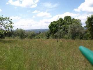 Building Plot For Sale Near Alvaiazere