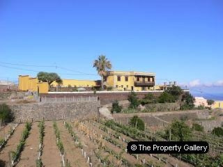 Farm For Sale in Icod, Tenerife