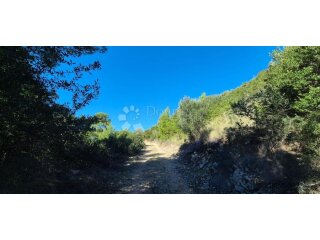 Poljoprivredno zemljište drugi red od mora – Dingač
