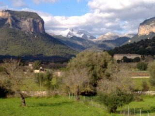 Building plot for sale - Alaro