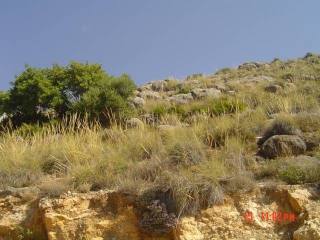 Land - Fantastic plot with un..