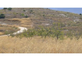 0 bedroom Land in Canada del Trigo..