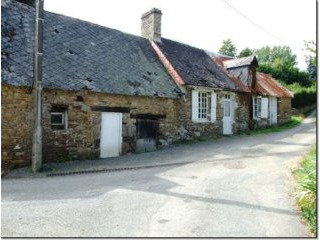 Two Houses to Renovate