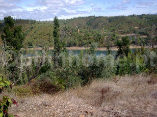 Farm For Sale - Santarem