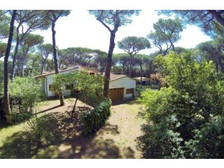 Property - Tuscany - For Sale