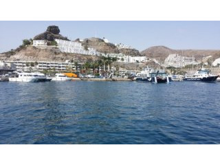 One Bedroom Apartment in Aqua de la..