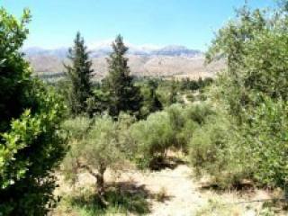 Crete Land For Sale In Undisturbed..