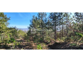 Istra, okolica Pazina, zemljište, 214.230m2