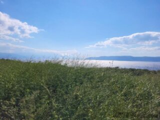 Velika parcela blizu prometnice