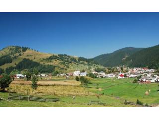Land - Suceava - For Sale