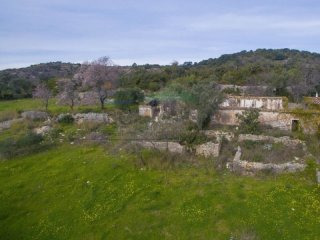 Mixed Land, Loule › Loule (Sao Clemente)