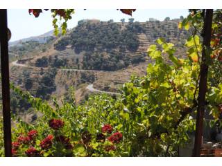 Rural land for Sale in Archez 30.000..