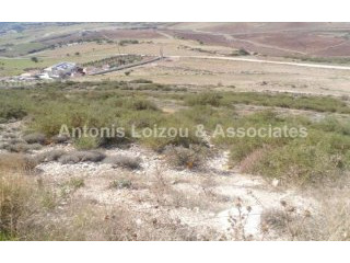 Agricultural Field For Sale in Anarita..