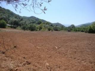 Agricultural Land For Sale In Crete