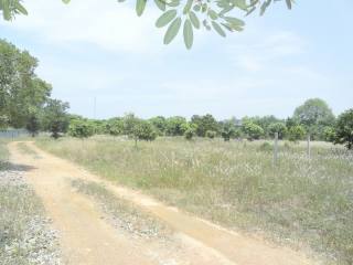 12 Rai plot of land in Pong, 3 min...