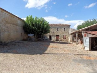 Vineyard For Sale