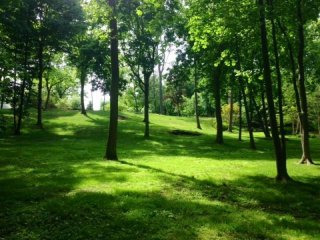 Land For Sale: 191 Highland Road Rye NY..