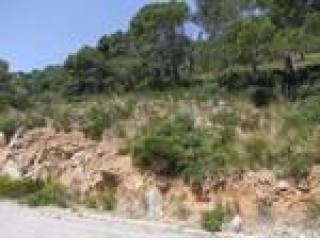 Mallorca plot with building permit, sea..