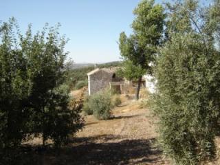 Finca, Villanueva De Algaidas