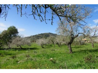 Very nice and quite plot with view to..