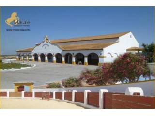 yeguada ganaderia cortijo finca..