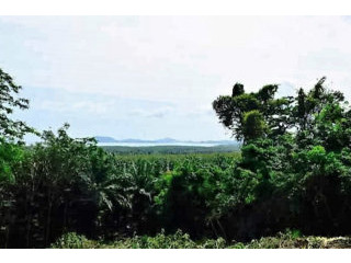 Yamu Hills - Well Priced Sea View Land..