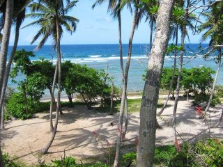 Ocean And Mountain View Lot