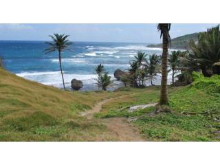 Property For Sale: Martins Bay Lot 4..