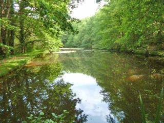 Beautifully Maintained And Woody..