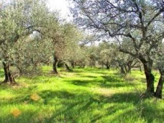 Crete Land Within Village Boundary For..