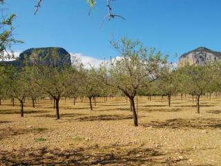 Building plot in fabulous location in..