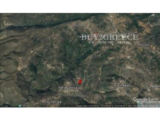 B774 - FOR SALE FORESTRY PLOT OF 4 ACRES