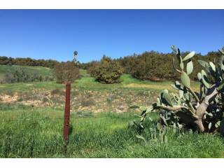 Via Ranchitos Rd Fallbrook, California..