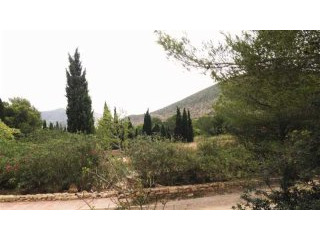 Beautiful plot in Roca Llisa