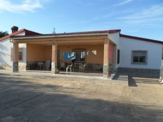 Finca Elche Ref: Js 1504