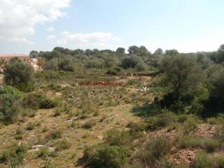 Rustic plot to build in preferred..