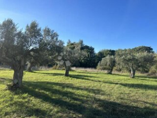 EKSKLUZIVNO - Prostrano zemljište na lijepoj lokaciji