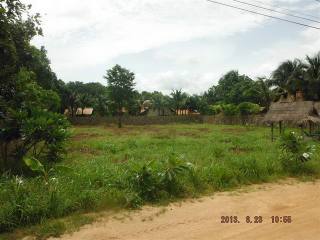 Land - For Sale - Nongpalai - EUR 78571