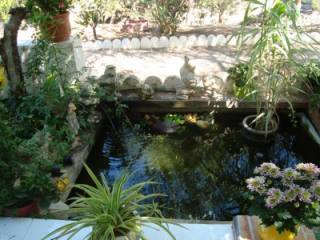 Villa - Fantastic villa located in the..