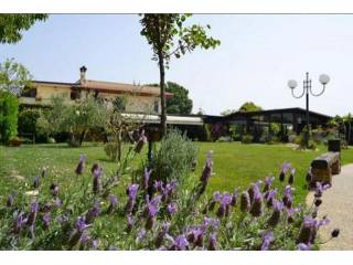 - Farm - For Sale