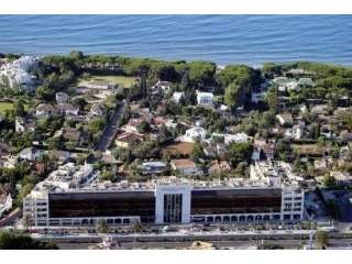 2 Bedroom Penthouse Apartment