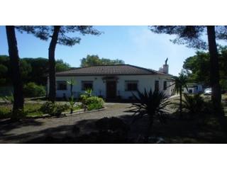 Finca Farm - This pretty country house..
