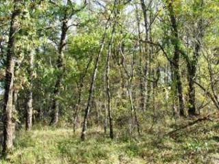 LOT ET GARONNE land constructable of..