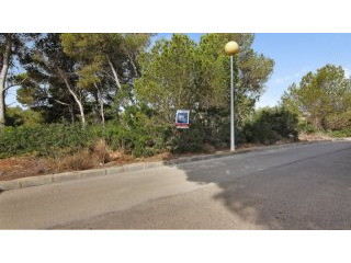 Sought after plot in excellent..